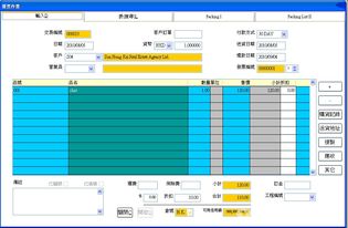 会计、核数与簿记 数字化时代的技术支持与软件开发