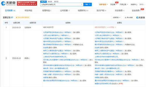 计算机软件开发 从概念到实现的全过程解析
